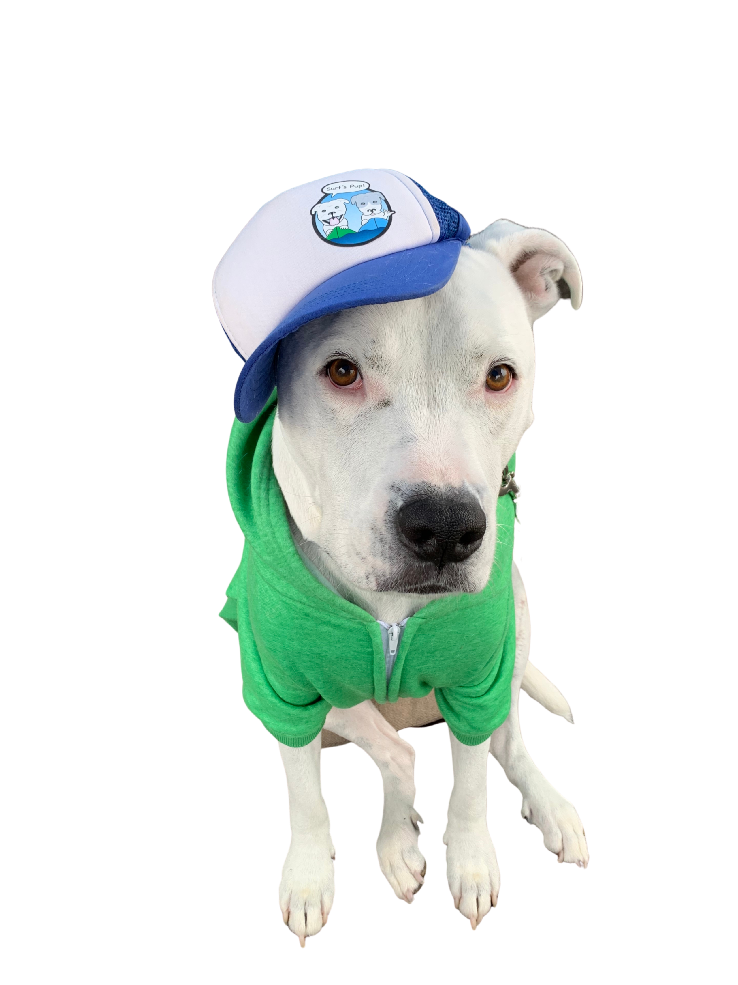 Dog trucker hat clearance